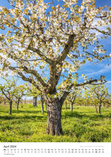 Laden Sie das Bild in den Galerie-Viewer, Edition Seidel Premium Kalender Bäume 2024 Format DIN A3 Wandkalender Naturkalender Jahreszeiten Baum Wald Laub Tanne Eiche Birke Ahorne Linde Kirschbaum Robinie Eukalyptus Walnuss Christian Müringer
