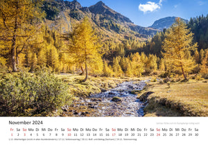 Edition Seidel Premium Kalender Mythos Wald 2024 Format DIN A3 Wandkalender Europa Deutschland Laubwald Mischwald Bärlauch Christian Müringer