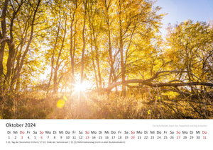 Edition Seidel Premium Kalender Mythos Wald 2024 Format DIN A3 Wandkalender Europa Deutschland Laubwald Mischwald Bärlauch Christian Müringer